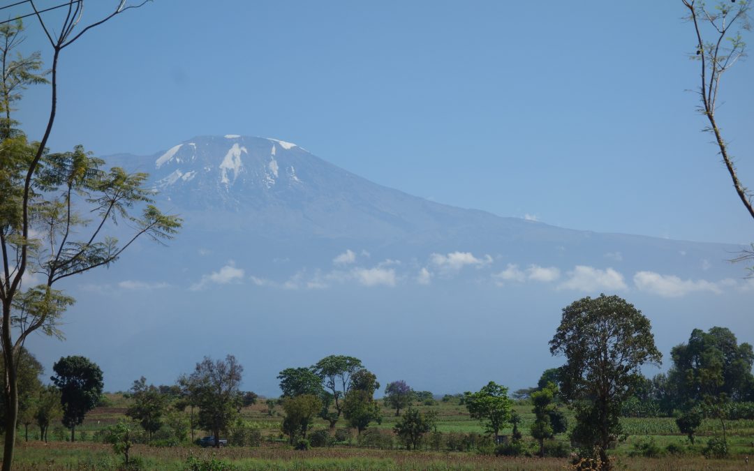 Kilimanjaro